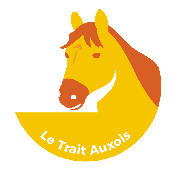 cheval auxois