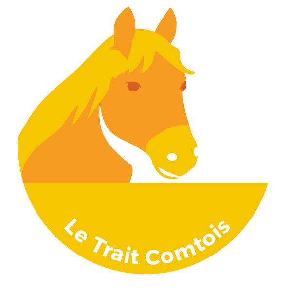 cheval comtois