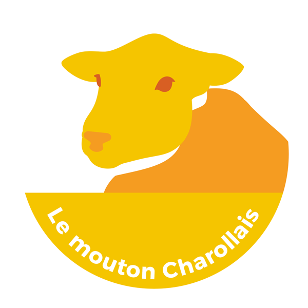 mouton-charollais
