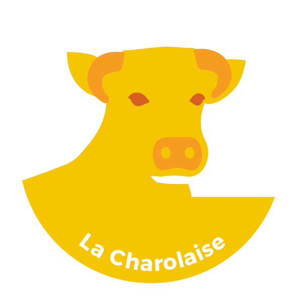 vache-charolaise